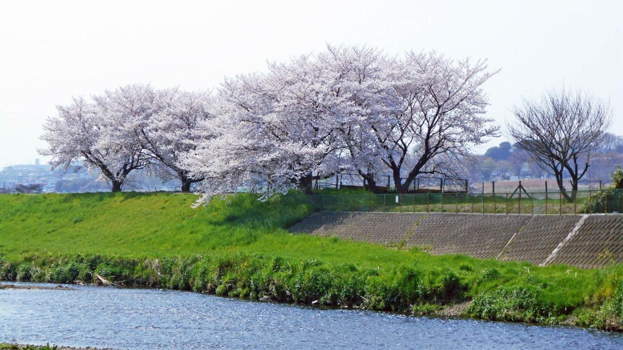 Toyoko Inn Shiki Eki Higashi Guchi Экстерьер фото
