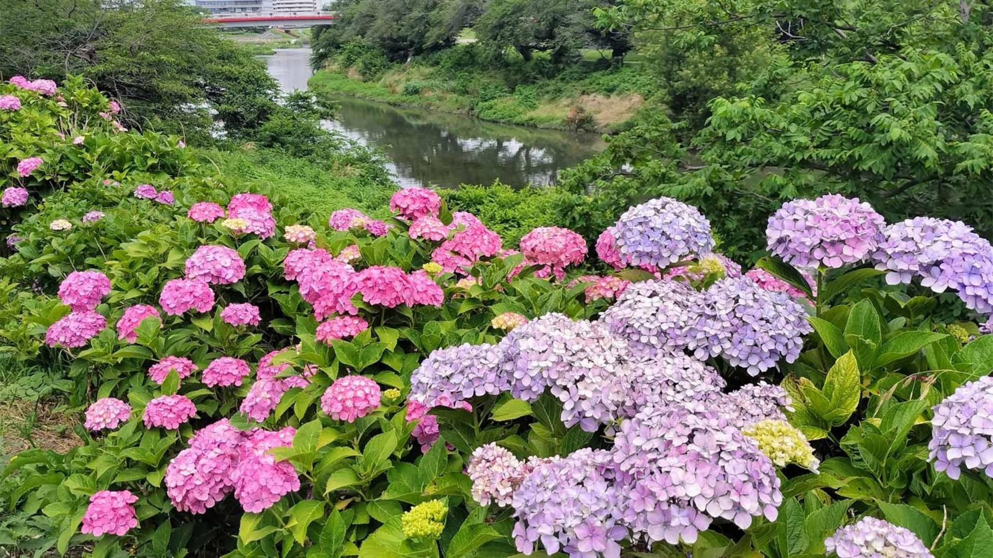 Toyoko Inn Shiki Eki Higashi Guchi Экстерьер фото